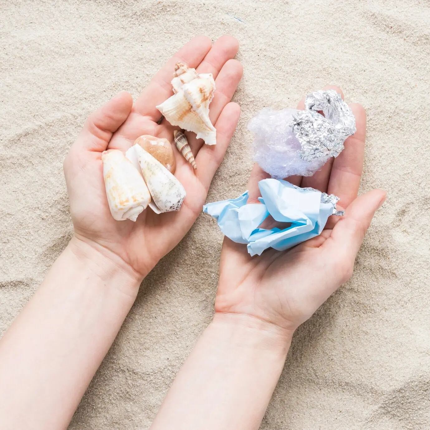 Vista desde arriba de manos que sostienen conchas y plástico.