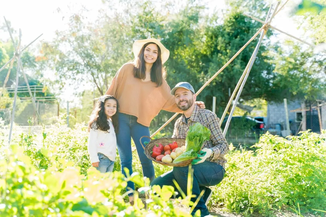 Familia latina feliz recolectando verduras orgánicas en el jardín durante un día soleado.